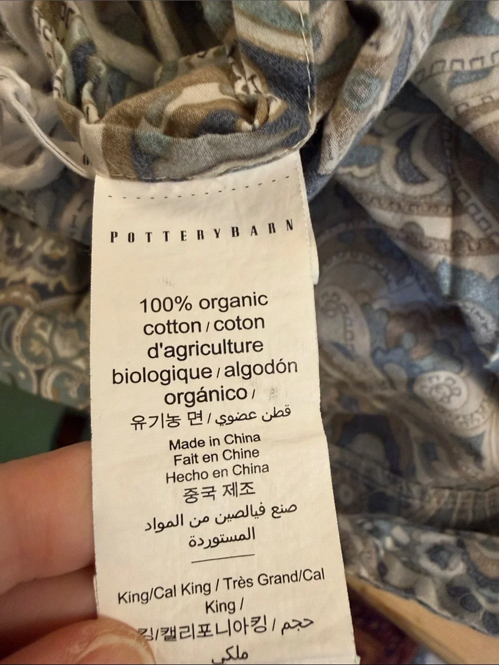 Pottery Barn Paisley Cotton Duvet Cover in Blue and Cream